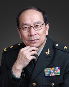 金一南