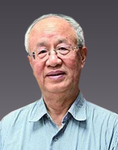 冯达文