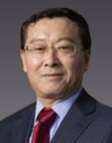 岳树民